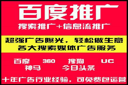 行业领先企业的SEM竞价推广策略揭秘